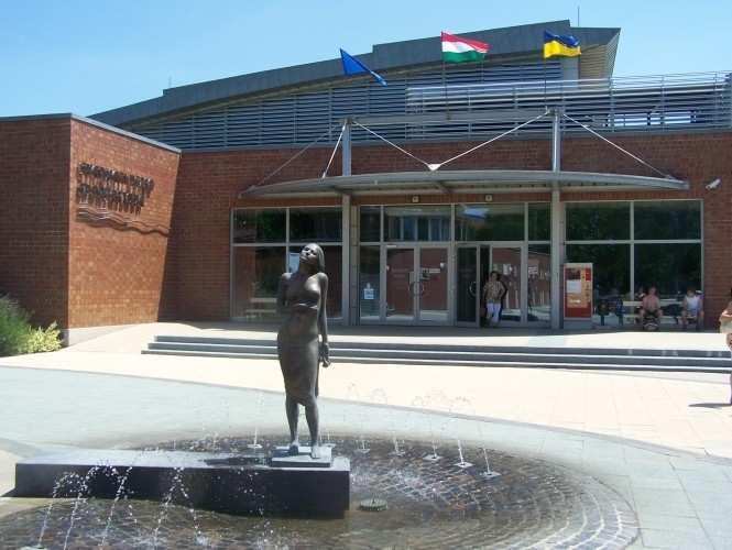 About the swimming complex